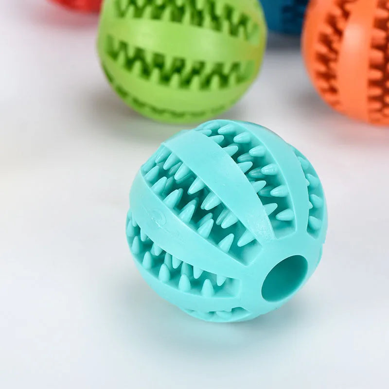 Interactive Toys & Dental Chew