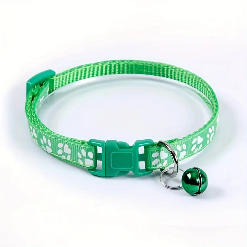 Collars & Safety Accessories