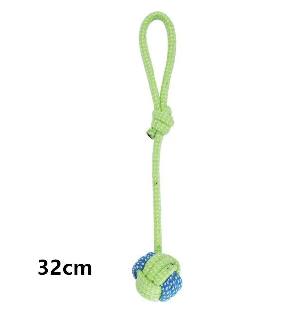 Interactive Toys & Dental Chew