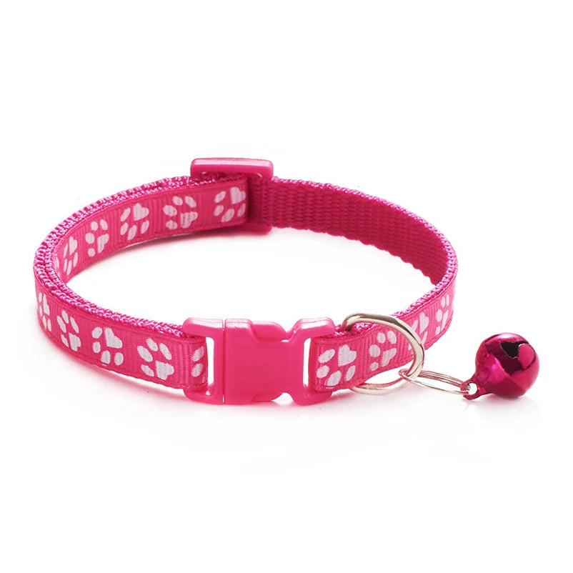 Collars & Safety Accessories