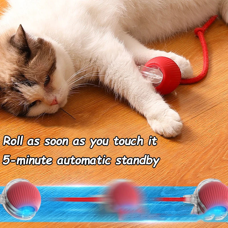 Interactive Toys & Playtime Enrichment