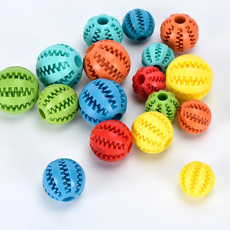 Interactive Toys & Dental Chew