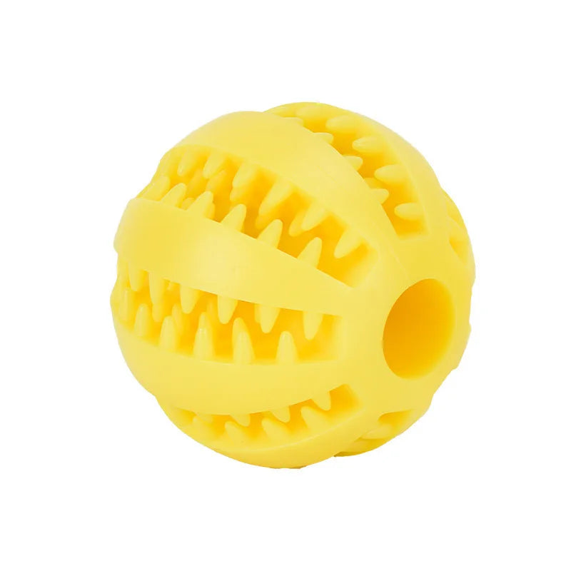 Interactive Toys & Dental Chew
