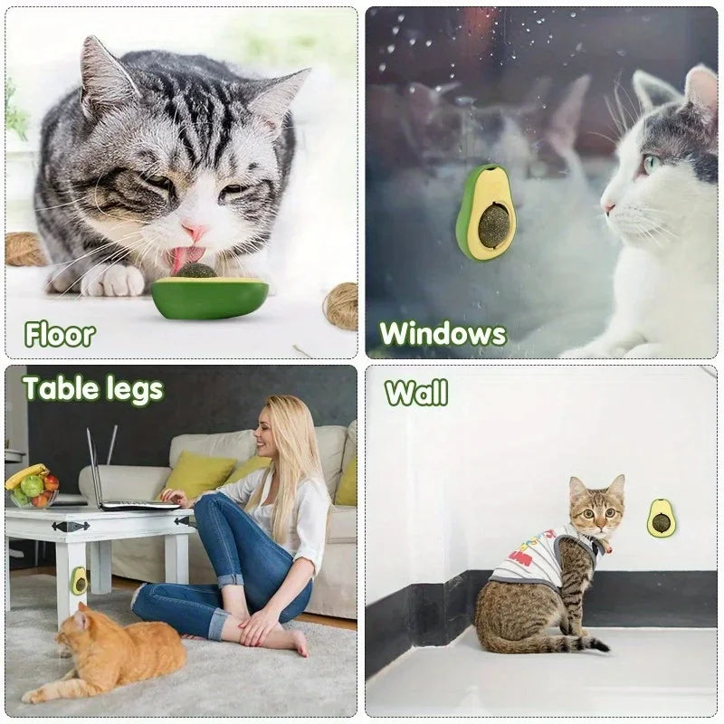Interactive Cat Toys & Dental Enrichment