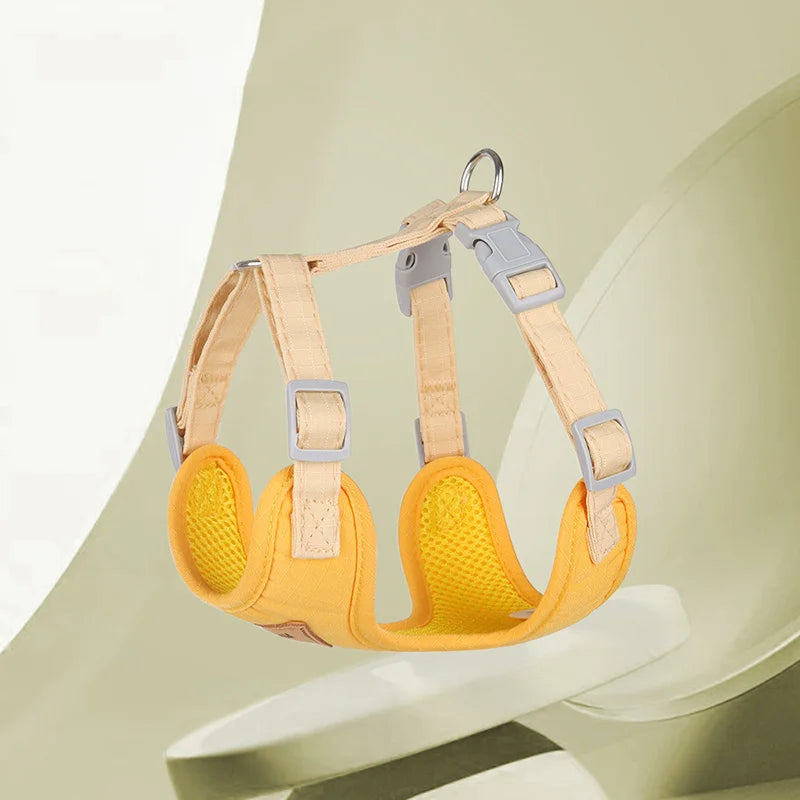 Outdoor & Walk Essentials