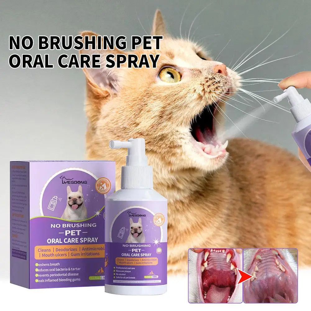 Oral Hygiene & Wellbeing