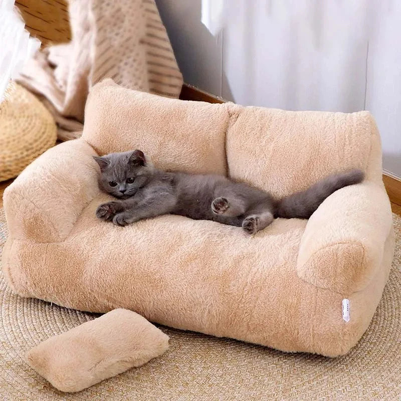 Beds & Sleep Comfort