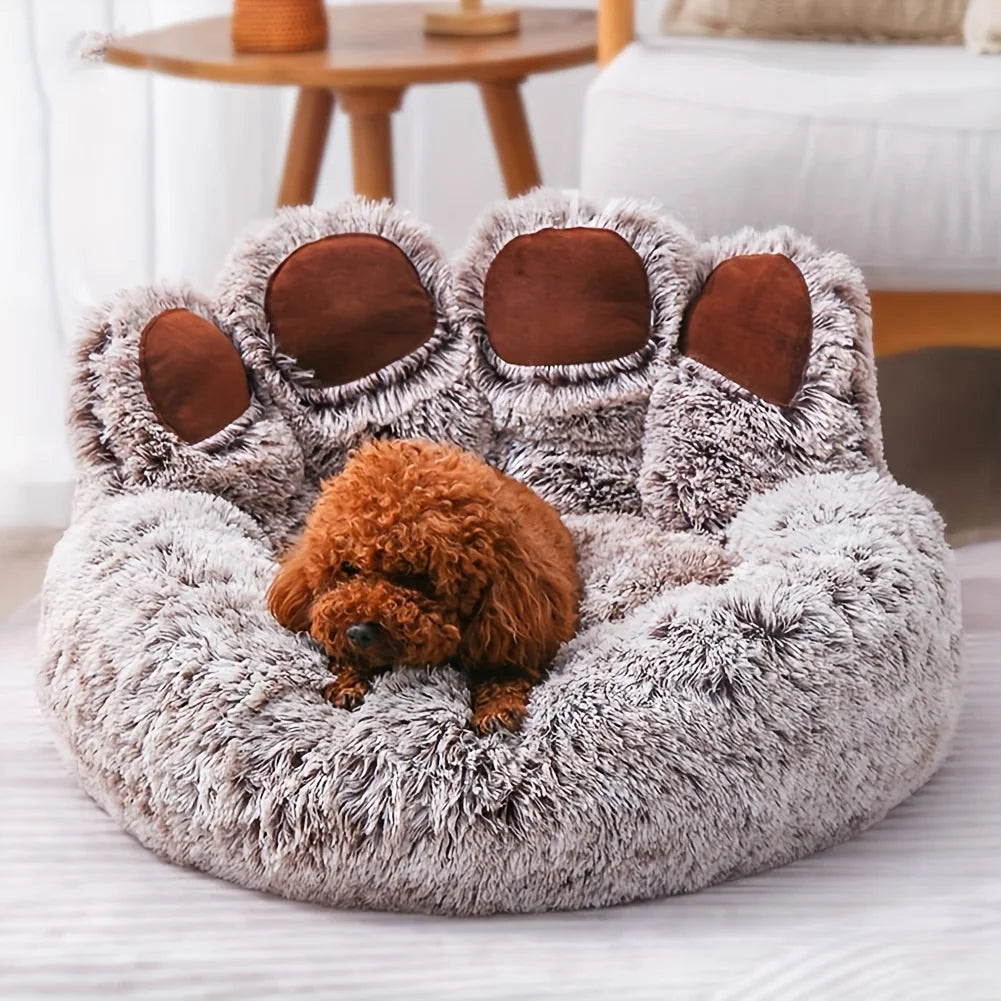 Beds & Sleep Comfort