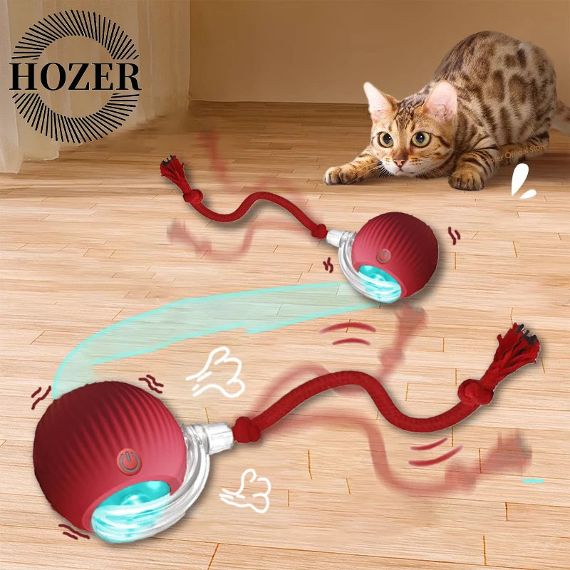 Interactive Toys & Playtime Enrichment