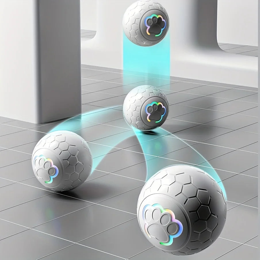 Interactive Toys & Indoor Action