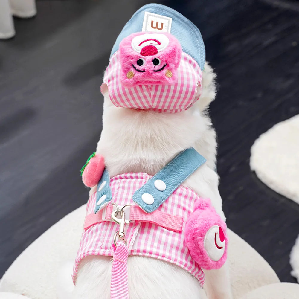 Outfits & Outdoor Accessories