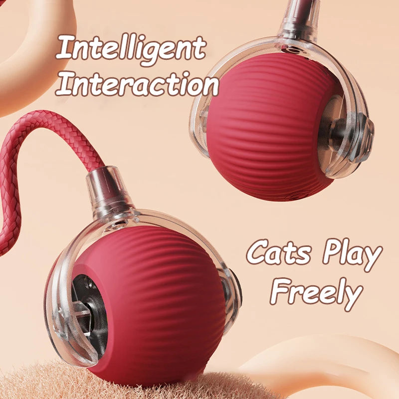 Interactive Toys & Playtime Enrichment