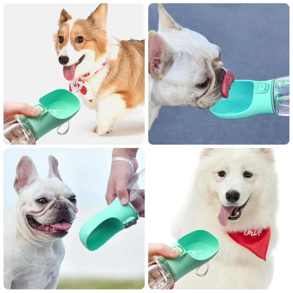 Hydration & Outdoor Essentials