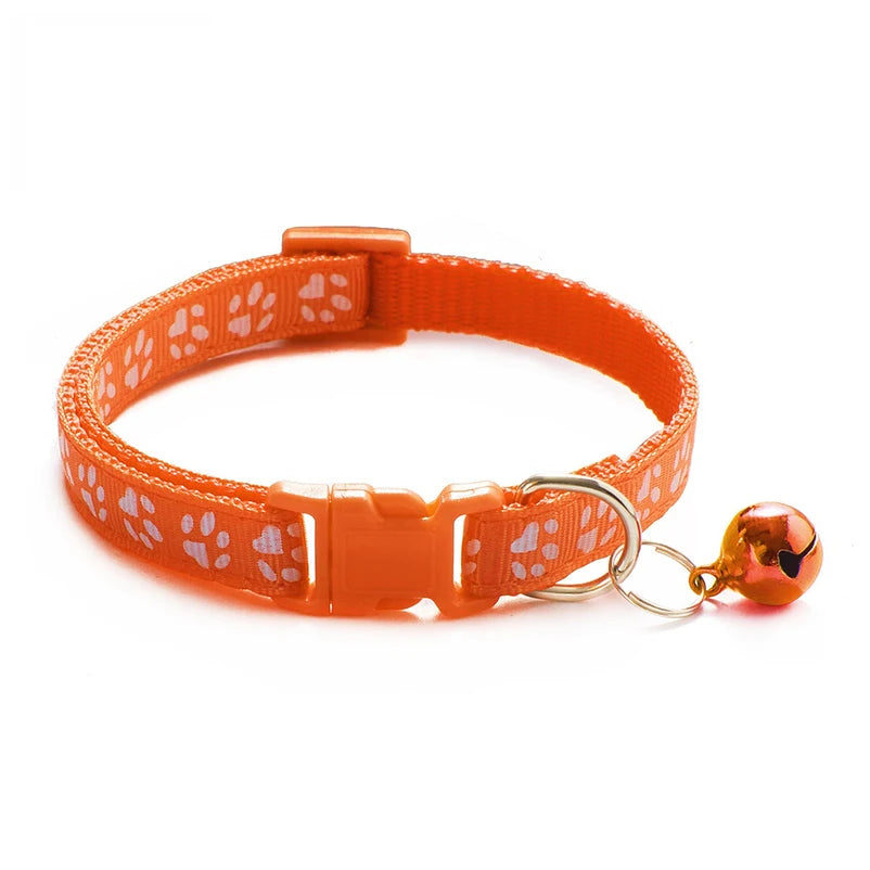 Collars & Safety Accessories