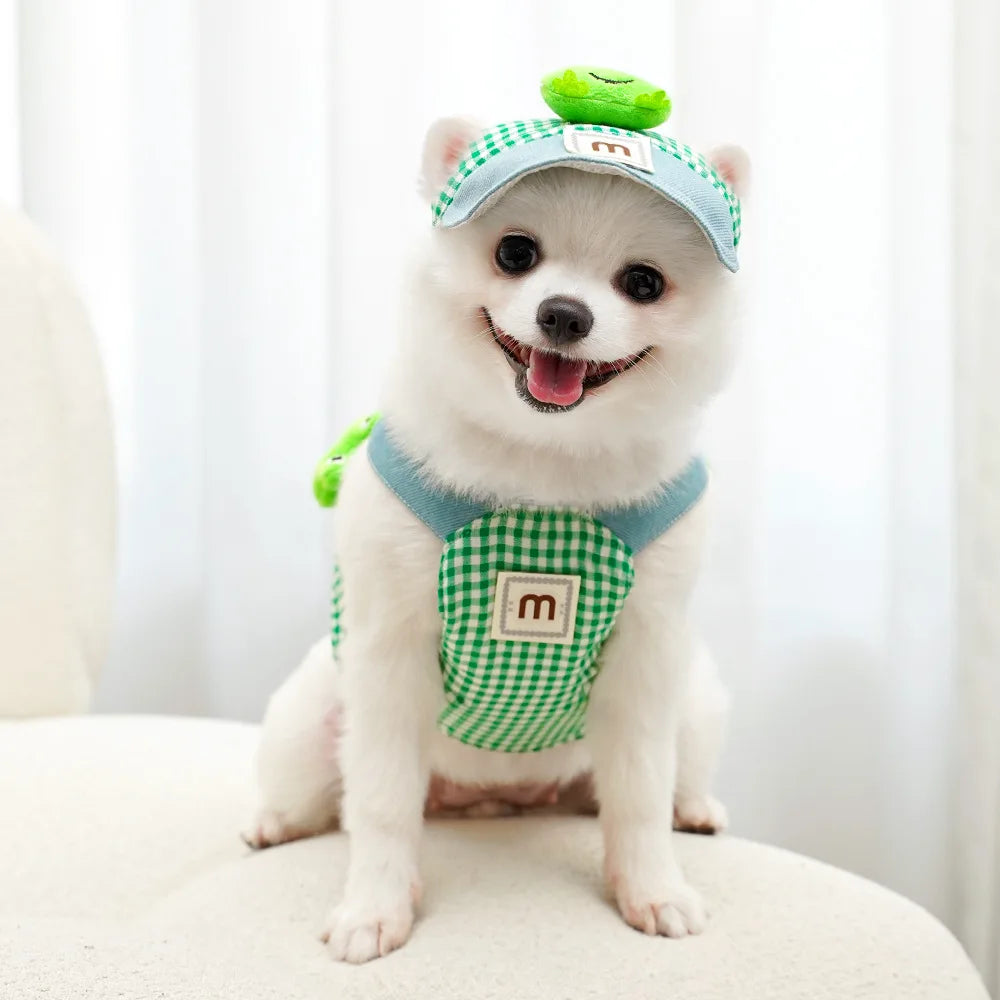 Outfits & Outdoor Accessories