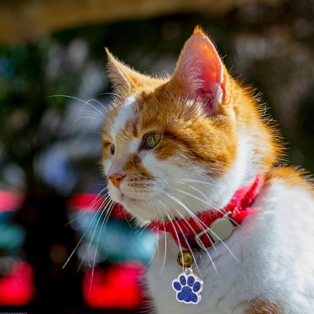 ID Tags & Personal Safety