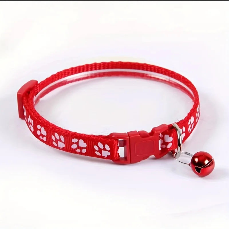 Collars & Safety Accessories