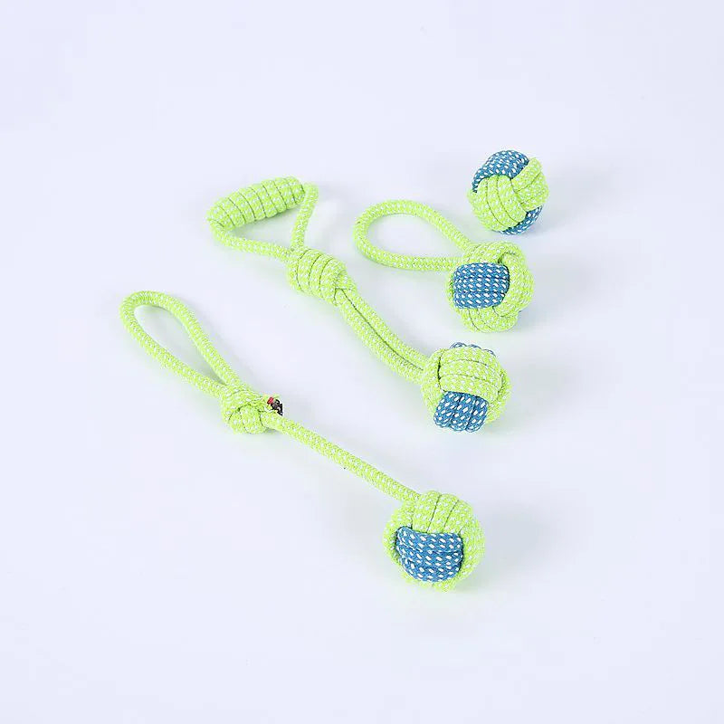 Interactive Toys & Dental Chew