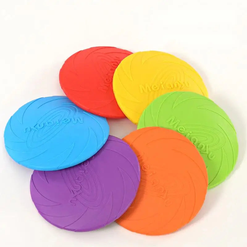 Interactive Toys & Outdoor Fun