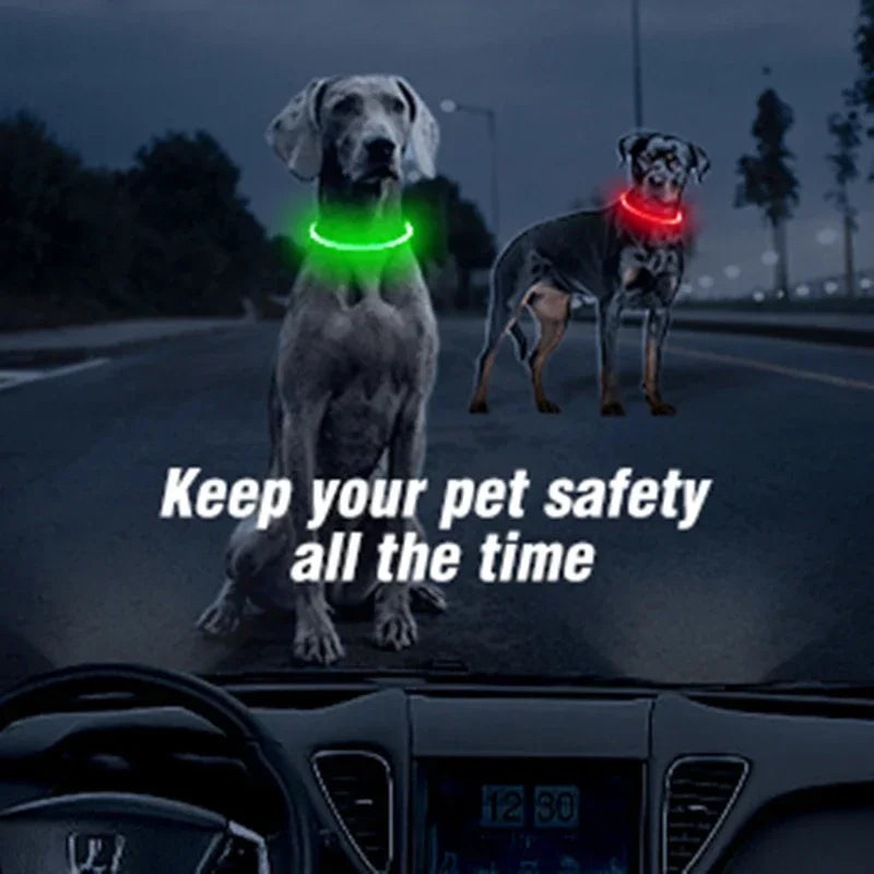 Visibility & Safety Accessories
