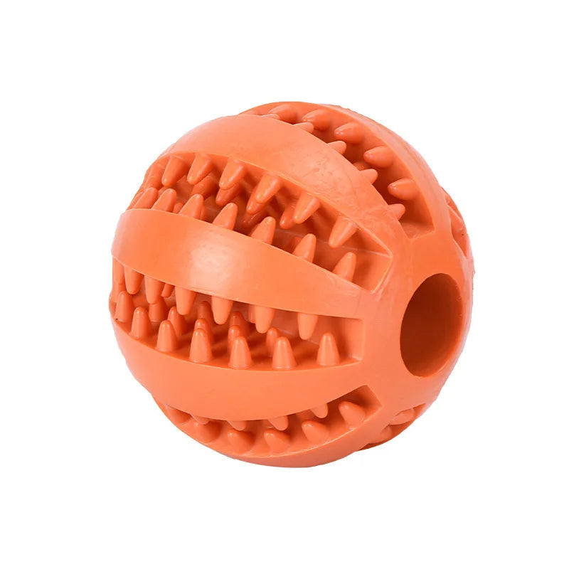 Interactive Toys & Dental Chew