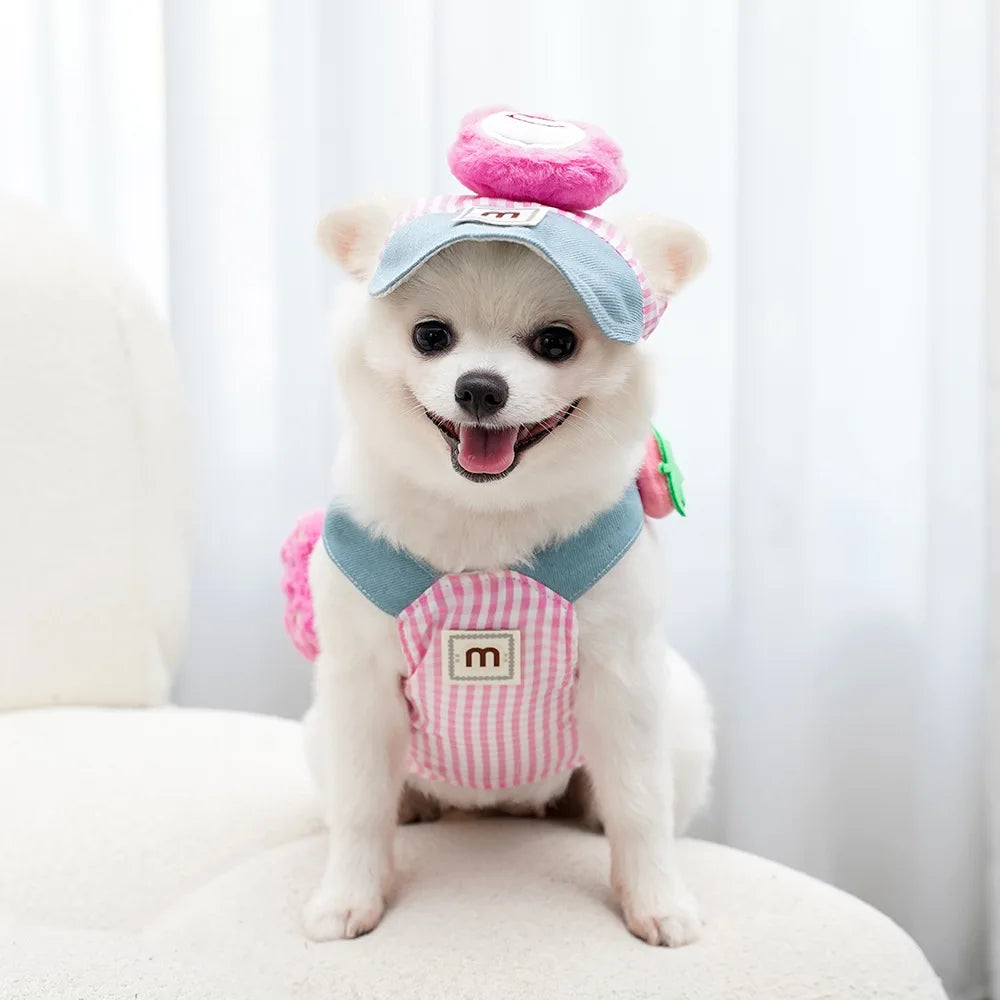 Outfits & Outdoor Accessories