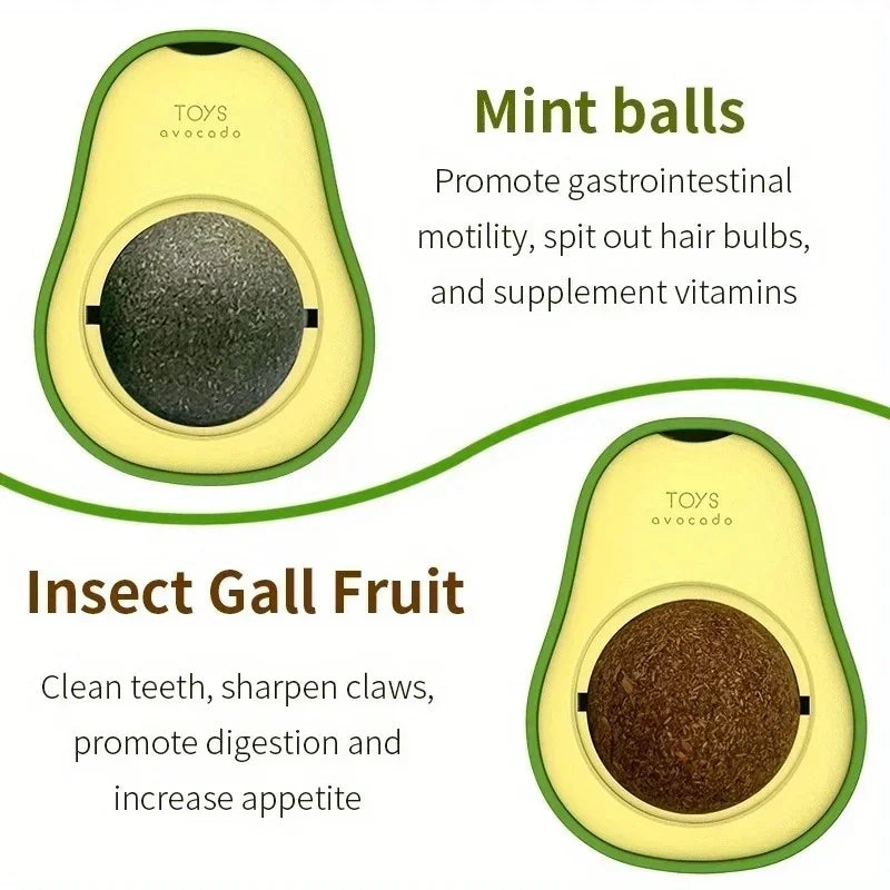 Interactive Cat Toys & Dental Enrichment