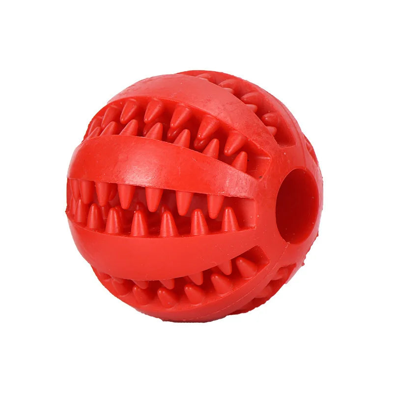 Interactive Toys & Dental Chew