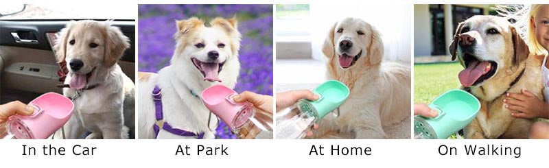 Hydration & Outdoor Essentials