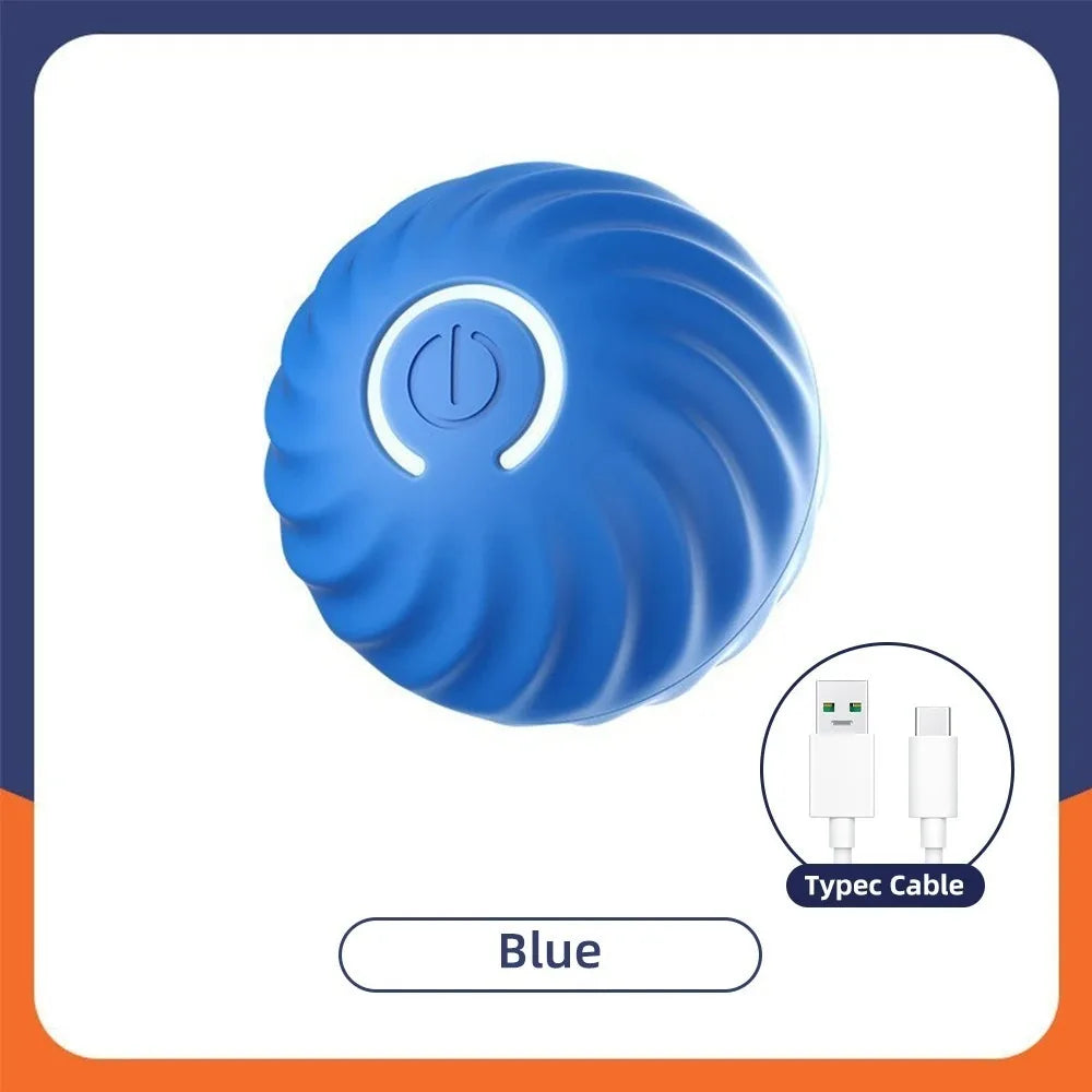 Interactive Toys & Indoor Action