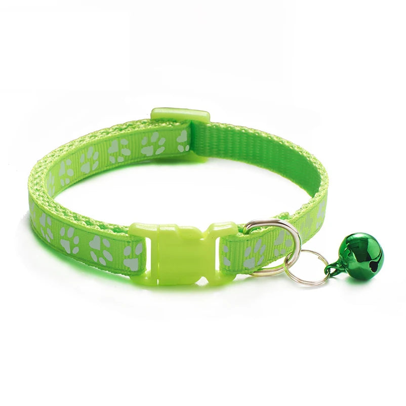 Collars & Safety Accessories
