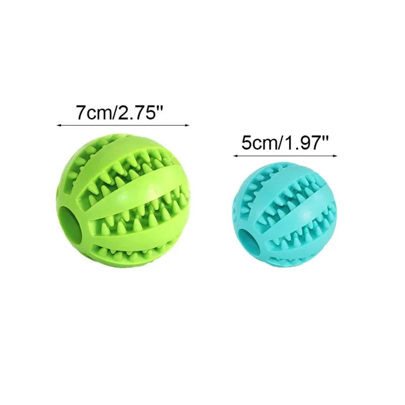Interactive Toys & Dental Chew
