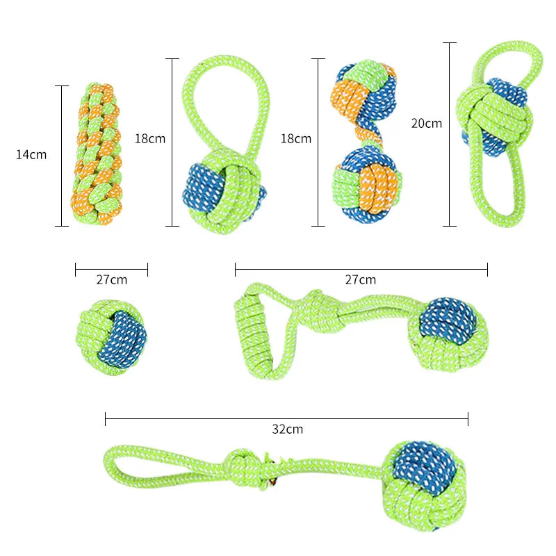 Interactive Toys & Dental Chew
