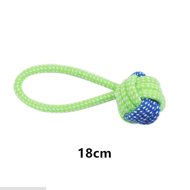 Interactive Toys & Dental Chew