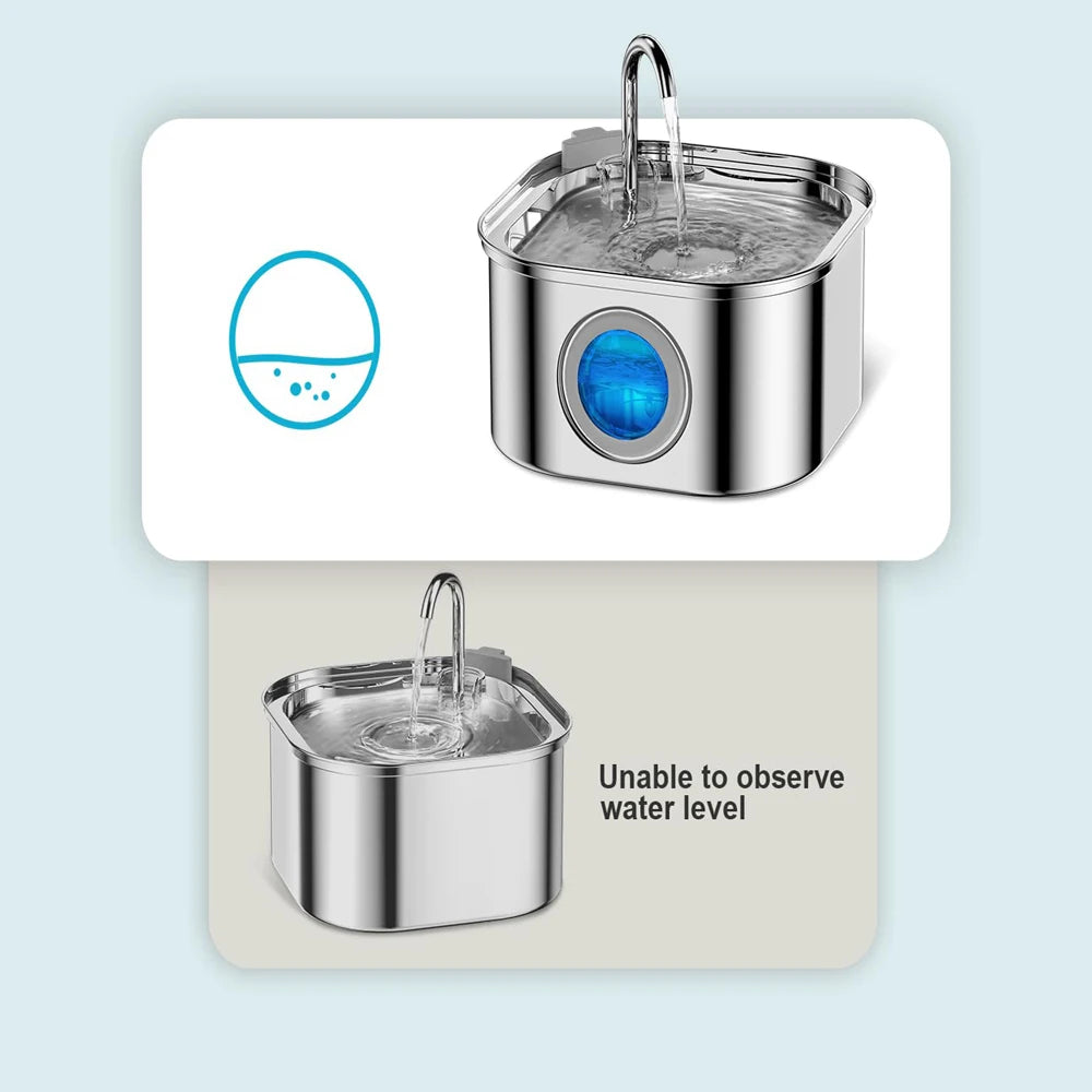 Hydration & Wellness Essentials