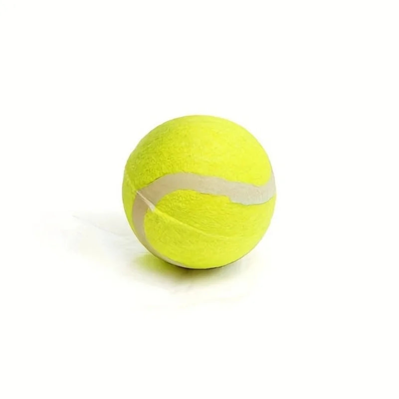 Interactive Toys & Outdoor Fun