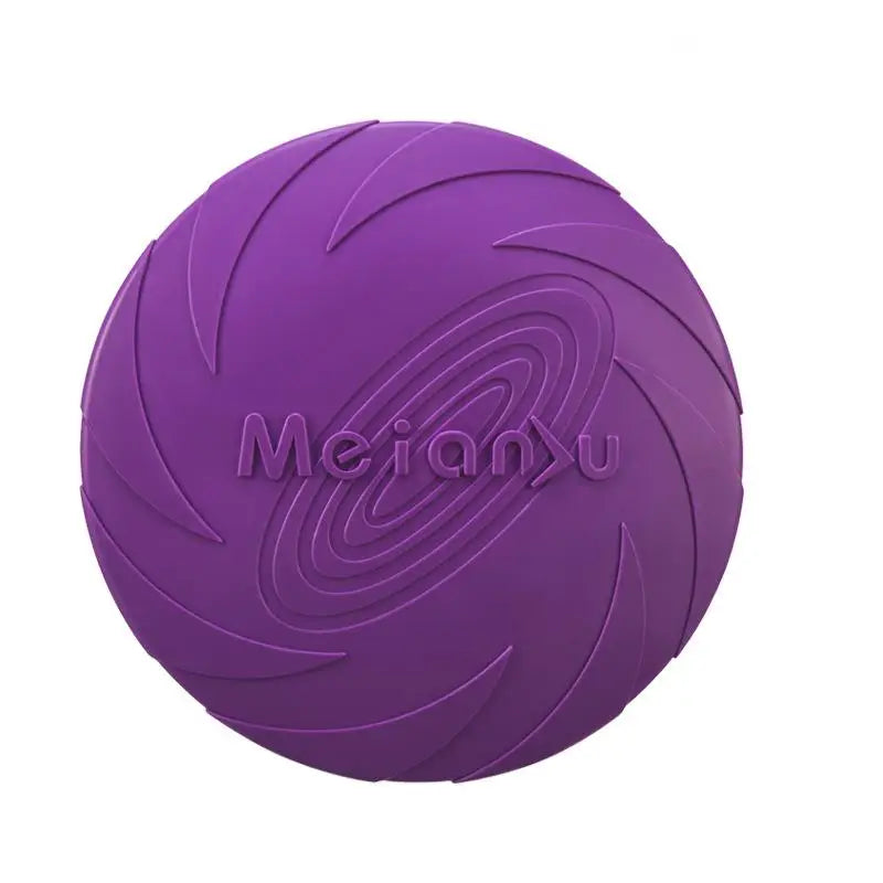 Interactive Toys & Outdoor Fun
