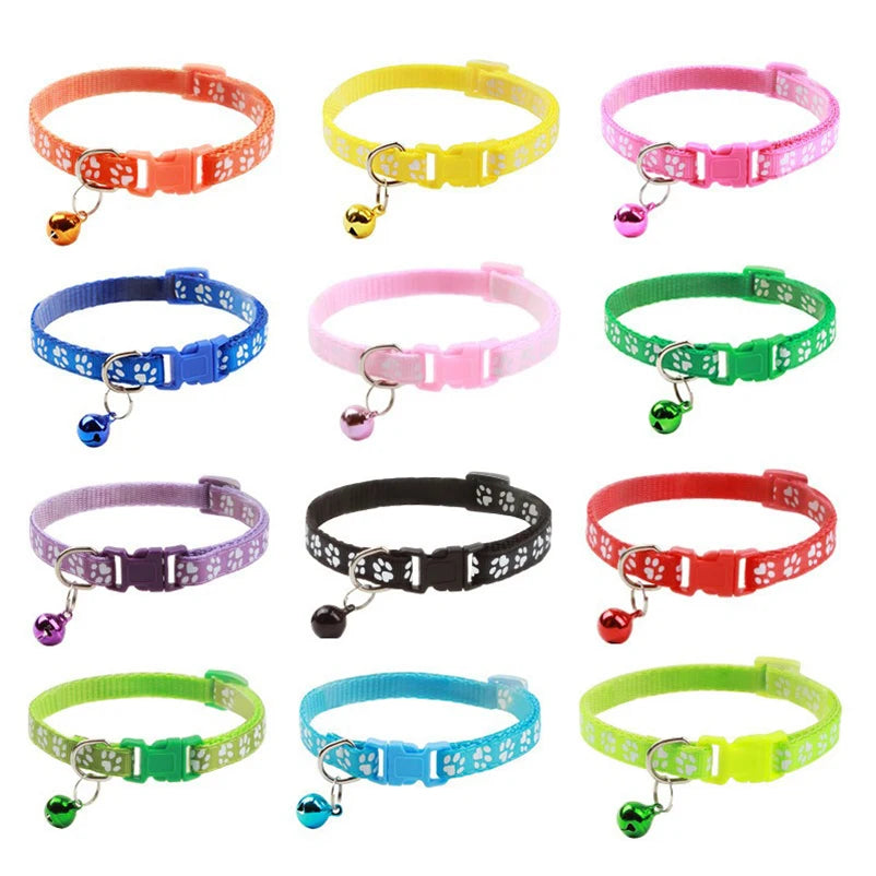 Collars & Safety Accessories