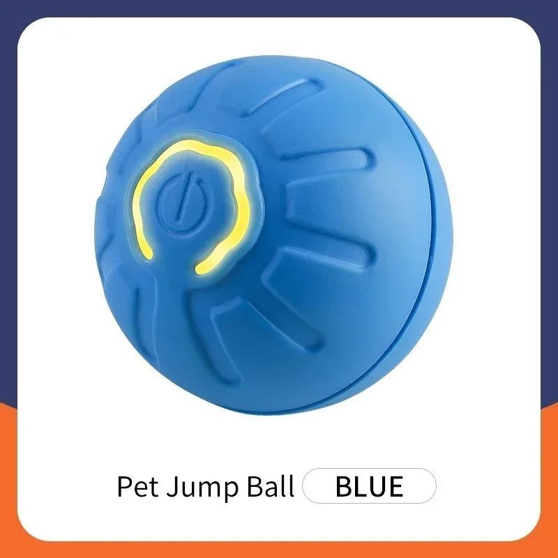 Interactive Toys & Indoor Action