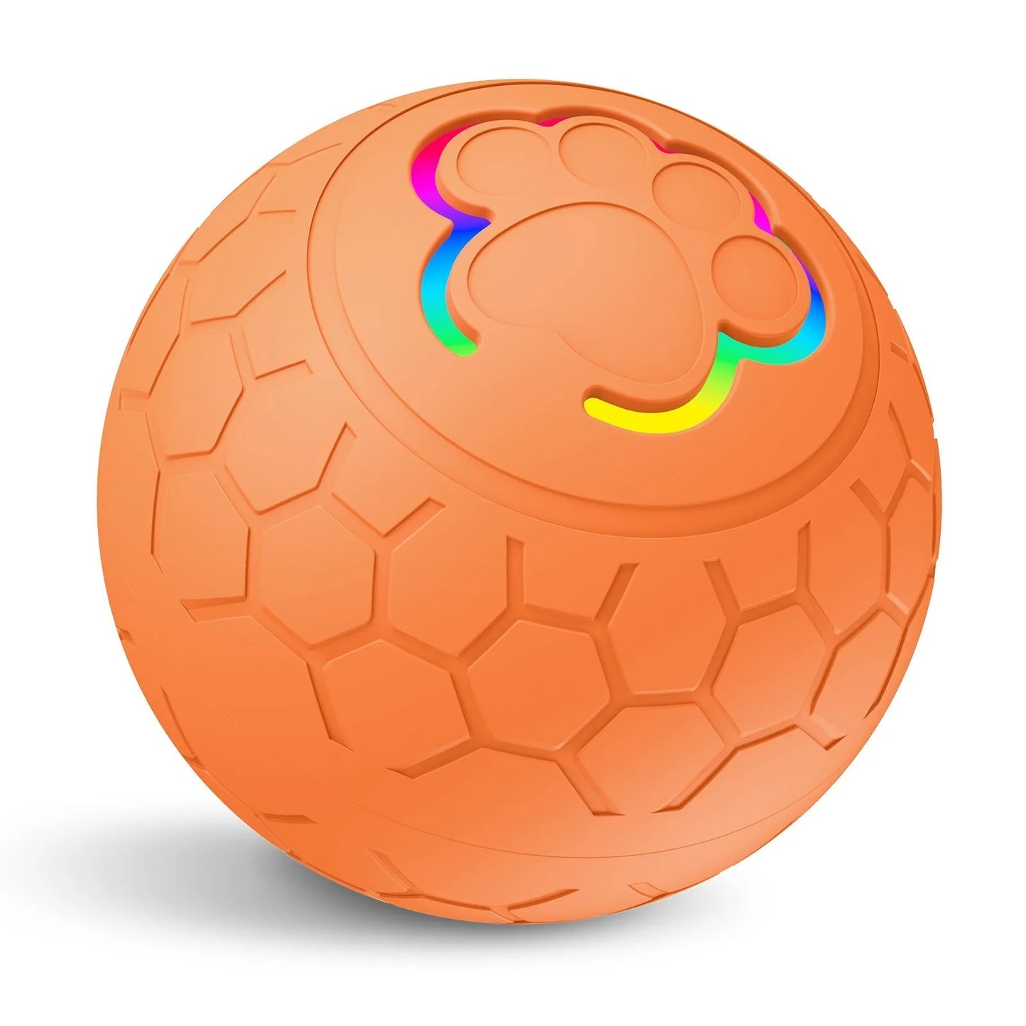 Interactive Toys & Indoor Action