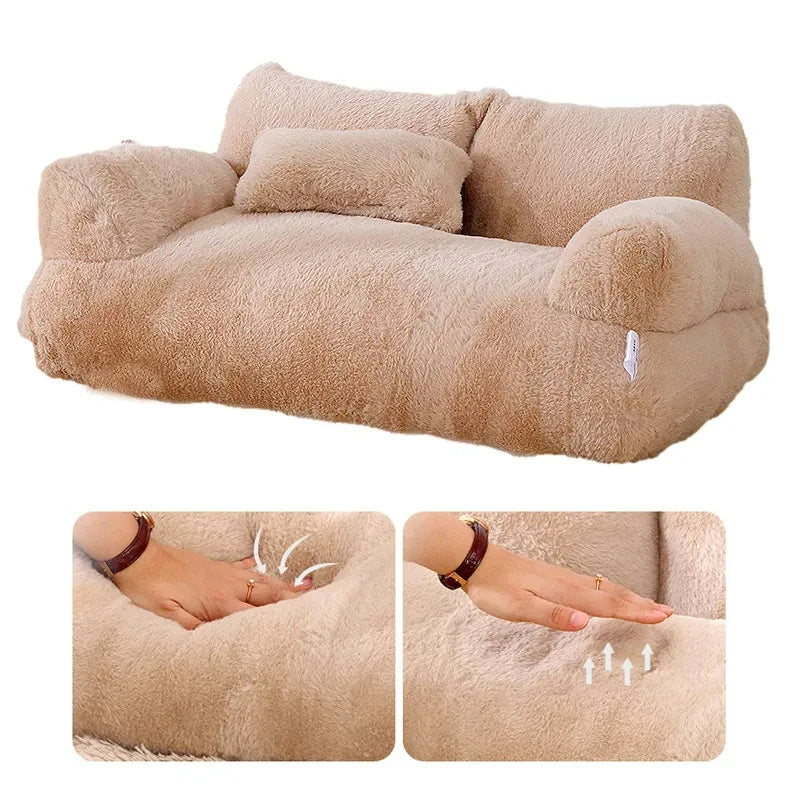 Beds & Sleep Comfort