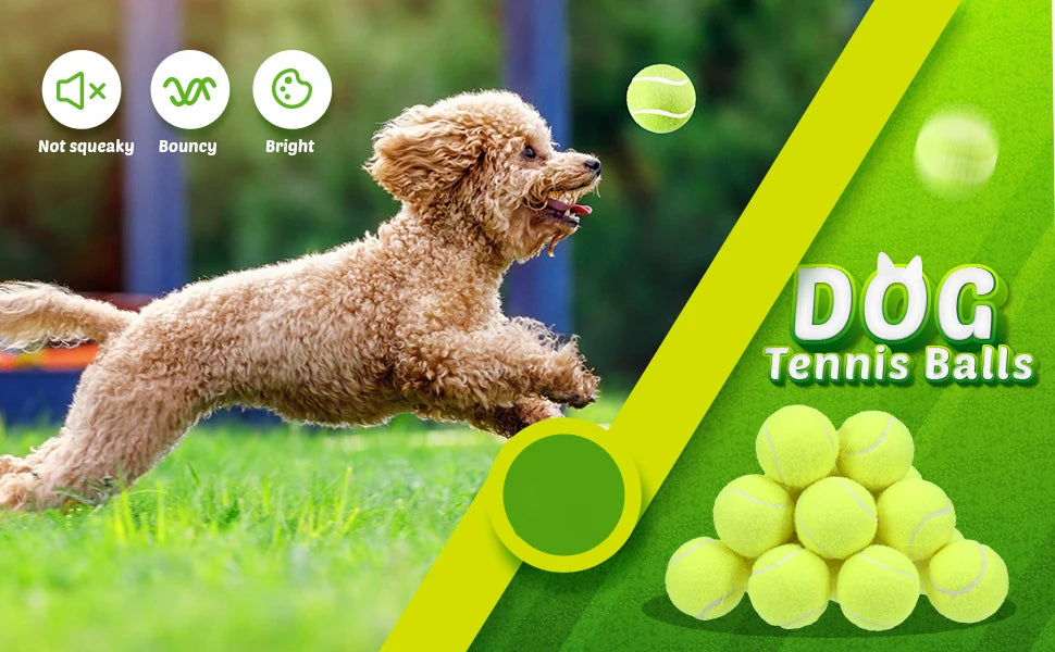Interactive Toys & Outdoor Fun