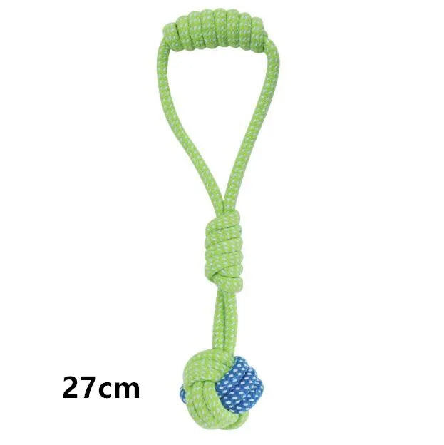 Interactive Toys & Dental Chew