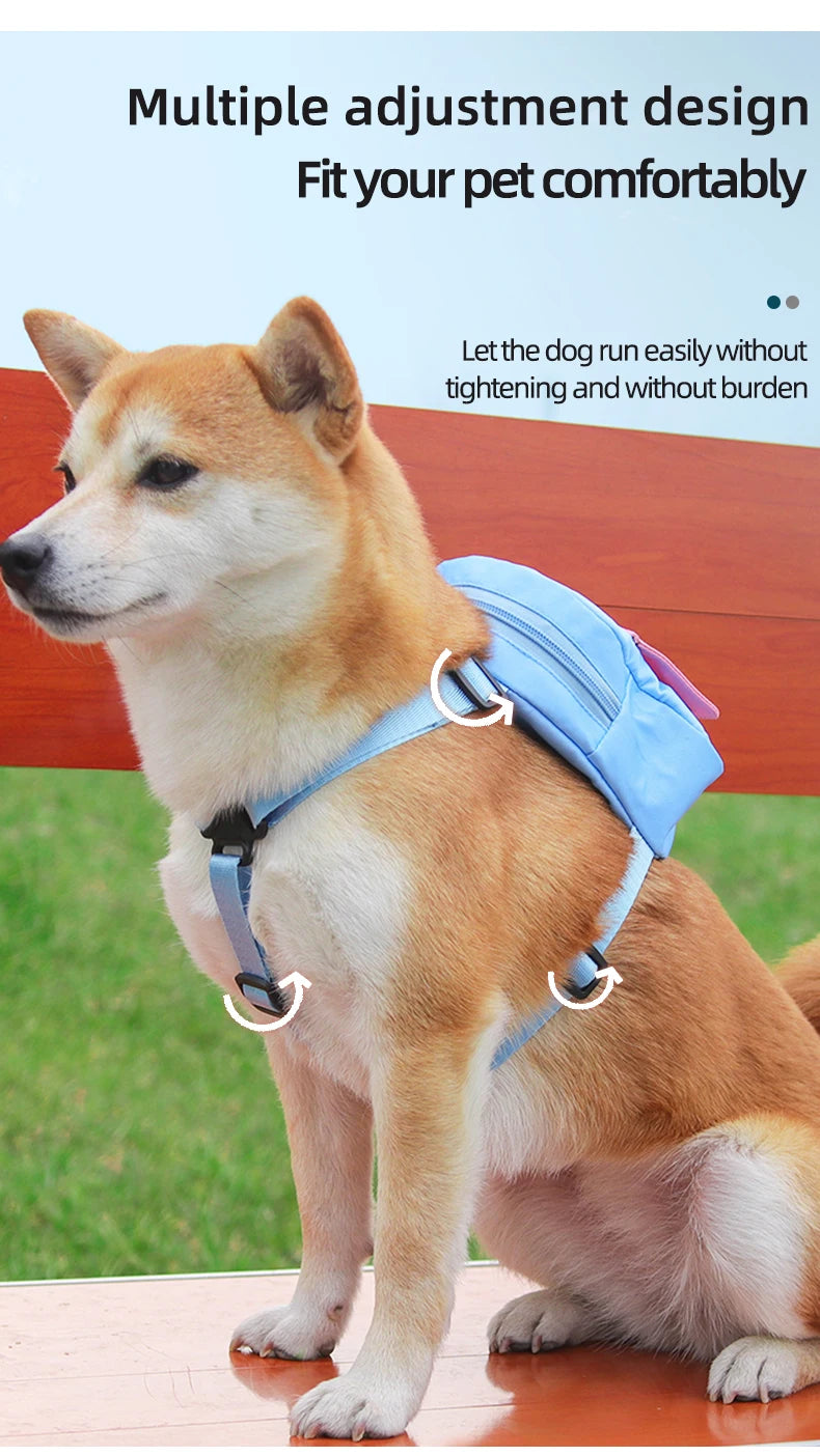 Travel & Outdoor Essentials