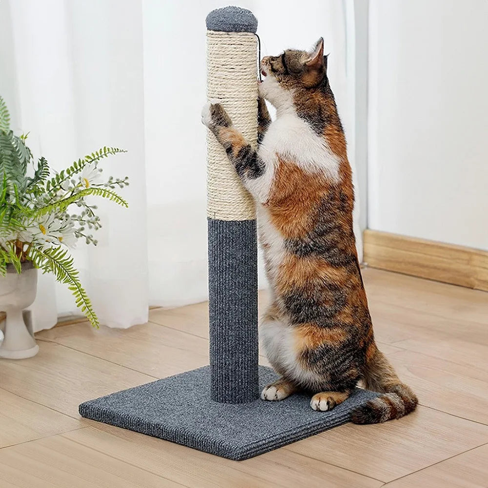 Claws & Keepers (Scratchers & Training)