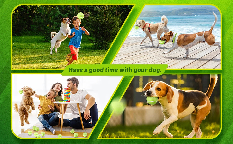 Interactive Toys & Outdoor Fun
