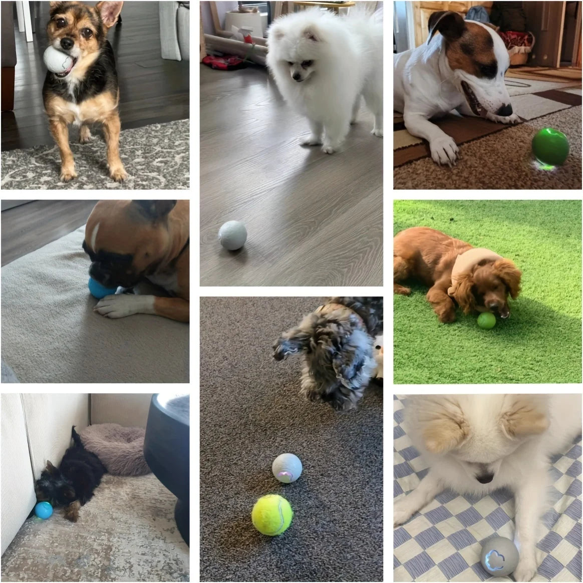 Interactive Toys & Indoor Action