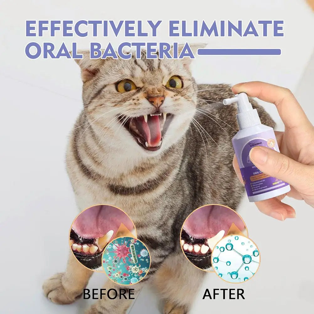 Oral Hygiene & Wellbeing