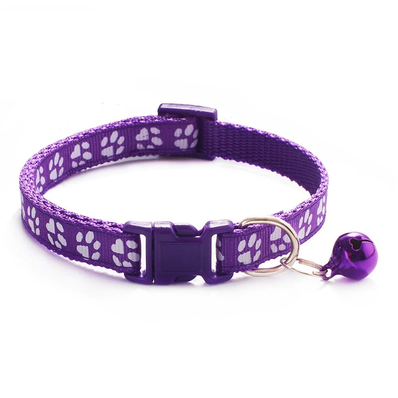 Collars & Safety Accessories