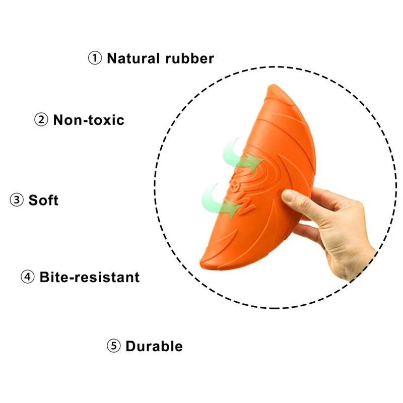 Interactive Toys & Outdoor Fun